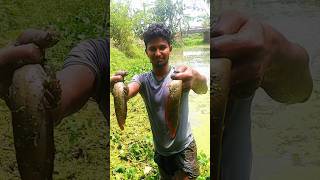 Wonderful village fishing video✔️