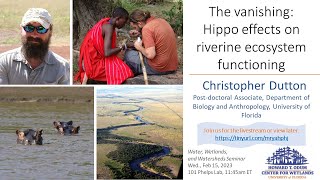 W3 Seminar: The vanishing: Hippo effects on riverine ecosystem functioning