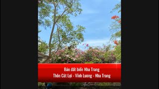 Bán đất biển Nha Trang. Thôn Cát Lợi - Vĩnh Hoà - Nha Trang.