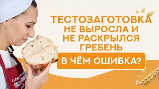 В чем ошибка, если тестозаготовка не выросла во время выпечки и не раскрылся гребень?