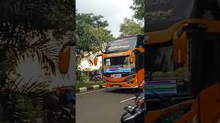 TRIP PAKANSARI MARET 2024 BY CONAN SJM TRANS #busmania #basuri #pakansari @arkanTM