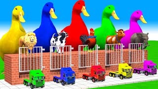 5 Giant Duck Cartoon, Cow, Elephant, Tiger, Gorilla, Dinosaur, Transfiguration funny animal 2023