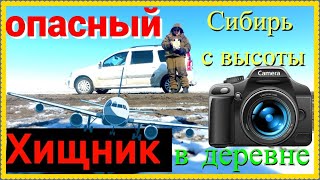 Как искал опасного хищника, камыш на озере возле деревни квадрокоптер видно тракторы МТЗ #бажениты