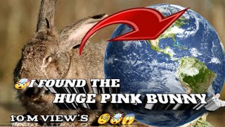 🤯I Found The Huge🐇 Pink Bunny 🐰 on H2 Google Earth 🌎#viral #trending #youtubegrowth #10million