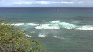 Kite Surfing by Diamond Head, Oahu, Hawaii (HD)