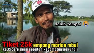 Semua di buat bengong!! Ketika ikan nila kumpul menunggu umpan lumut saya