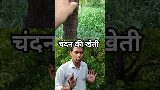 Highest earning in all types of farming #shorts #shortsvideo #bestfarming #viralvideo #viralreels