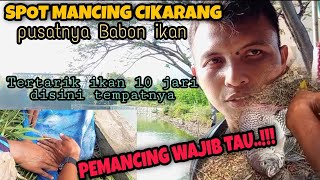 SPOT MANCING DANAU BELAKANG HOTEL SAHID LIPPO CIKARANG IKANNYA BABON-BABON SPOT JARANG TERJAMAH..!!!