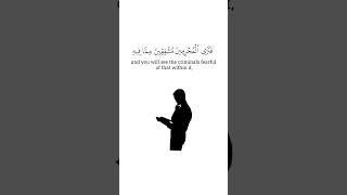 Read Quran Daily♥️#shorts #ytshorts #quran