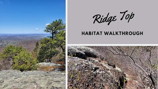 Habitats: Ridge Top