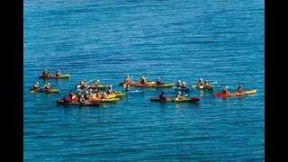 Cape Byron Kayaks, Byron Bay. Insider Tips from Local Kids