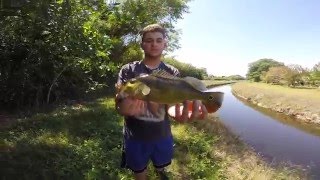 back water bass fishing ft.F.L.O.FISHING