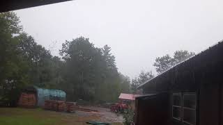 #short rain in the wood yard