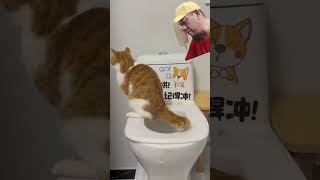 nemenin puzz pipis #shorts #kidsvideo #videoanak #shortsvideo #funnyshorts #funnycats#cat #catlover