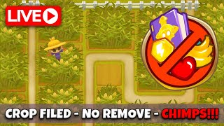 Crop Field - No Crop Remove - CHIMPS