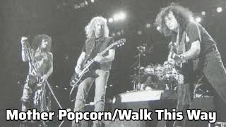 Aerosmith - Mother Popcorn/Walk This Way - Buenos Aires 19/11/1994