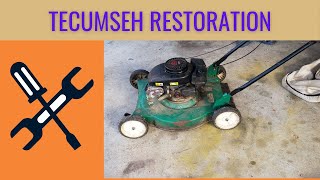 Part 2: How To Clean a Tecumseh Carburetor | Oil Change | RESTORING Old Mower | Tecumseh Repair!