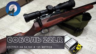 ТЕСТ ПАТРОНОВ 22 LR ДЛЯ ОХОТЫ * МЕЛКАШКА СОБОЛЬ *