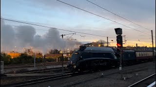 Footage of 60007 ‘Sir Nigel Gresley’ & 44871 York 16/11/24