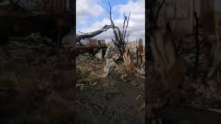 Уничтоженная украинская колонна под Артёмовском/The destroyed Ukrainian column near Artemivsk