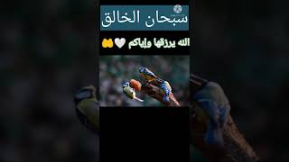 الله يرزقها وإياكم 🤲🤲 |محمد أحمد