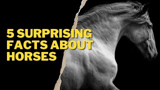 5 SURPRISING FACTS ABOUT HORSES