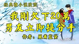 经典微小说欣赏《我欠债20万，男友立即提分手，穷途末路，直到遇见一个开货车的男人，我只想做你的妻子！》作者：风萧蓝黛！