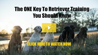 The ONE Key to Retriever Training You Should Know