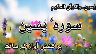 Surah Yaseen ( Yasin ) with Translation | Tilawat Quran Beautiful Recitation | Urdu Hindi Tarjuma