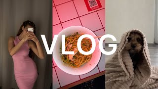 VLOG 15: отвели Деню к грумеру, шоппинг, Максим уехал