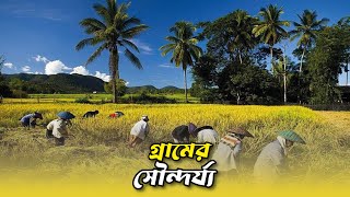 Natural Beauty of Chandpur | Village life | Beautiful village