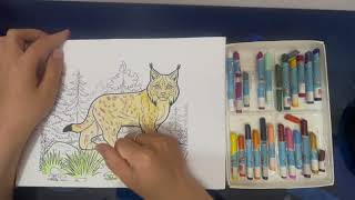 Instructions for coloring a picture of a yellow wildcat hunting for prey