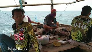 Mancing ngapung - Fun fishing di pulau lancang