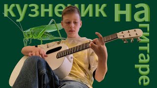 самая сложная версия кузнечика в мире #гитара #sokol