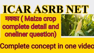 Maize (मक्का)crop imp Oneliner question which help ICAR/NET/JRF/SRF &other agriculture exam