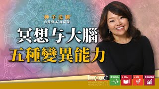 冥想与大腦5种变異能力  |  Chantel Ng 【富中富SeedWisdom种子法则®】