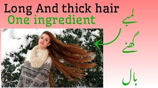 GET LONG AND THICK HAIR BY ONE INGREDIENT | BAALON KO LAMBA AUR GHANA BANANY KA LIYA HOME REMEDY