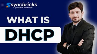 DHCP Explained: Everything You Need to Know