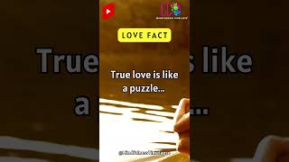 True love is like a puzzle ... #shorts #subscribe #lovefact #mindfulnesstimelapse #quote