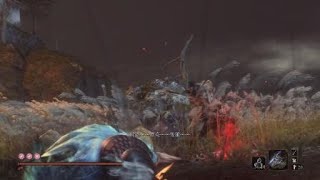 Sekiro - Sword Saint (No Damage, Bell Demon Active)