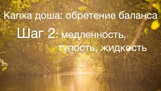 Капха доша: обретение баланса. Шаг 2: медленность, тупость, жидкость. Аюрведа для начинающих.