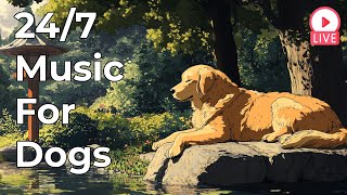 🔴 [LIVE] Sleepy Calm Music for Dogs Relax and Chill 24/7