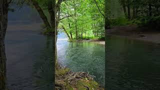 Абхазия, река впадающая в озеро Рица. Abkhazia, a river flowing into Lake Ritsa. #абхазия #shorts