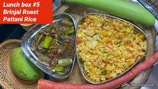 Lunch box #5 Brinjal Roast , Thengai maangai paataani Sundal rice