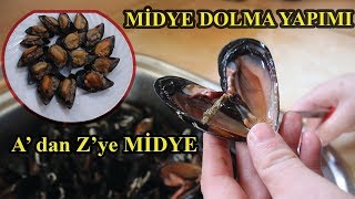 MİDYE HAKKINDA HERŞEY! (MİDYE DOLMA YAPIMI)