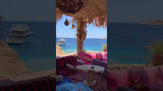 SHARK'S BAY OASIS CAFE ❤ #sharmelsheikh #egypt #shark'sbay #shark'sbayoasis