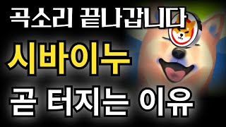 [ 시바이누 코인 ]  시바이누 전망. 시바이누코인 중요 포인트 2가지 짚어드리겠습니다.  비트 조정 다와간다. 시바이누 가즈아