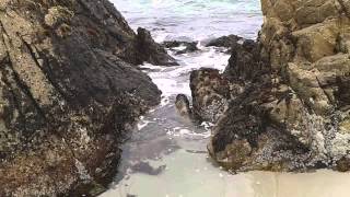 Interesting view of the beach at the 17-Mile Drive in Monterey, California (July 2013)