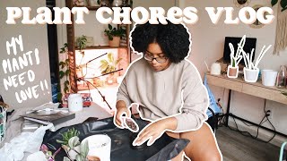 A much needed plant chores vlog | I've been neglecting my plants...