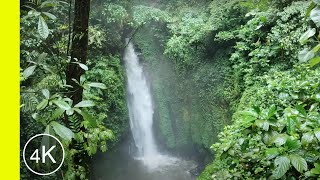 4K - walking in the rain, Tracing to Tinoor waterfall [Air Terjun Tinoor] TOMOHON - ASMR for Sleep?